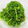 Bulk Wakame Seetangsalat erfroren